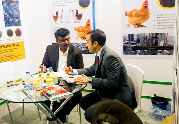 Long-Term Green Commitment